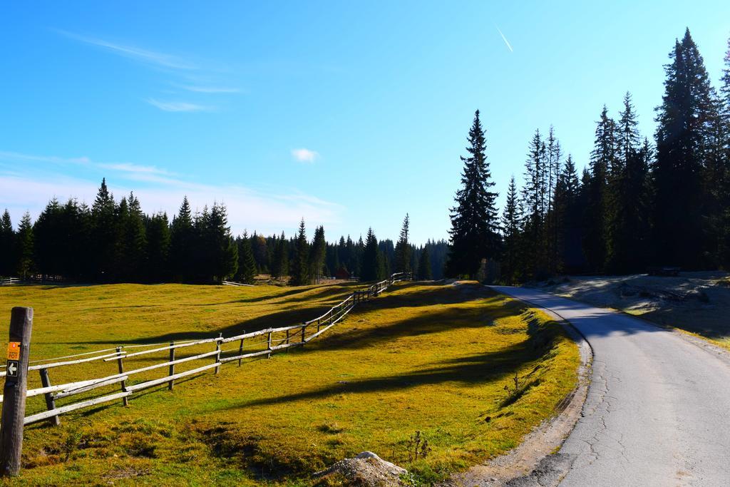 Chalet Pokljuka Goreljek Екстериор снимка